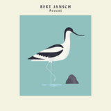 Bert Jansch - Avocet (Ltd Art Print Edition)