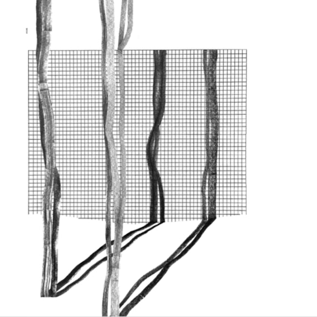 Various Artists - Systema Naturae II