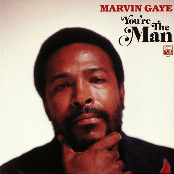 MARVIN GAYE - YOU'RE THE MAN