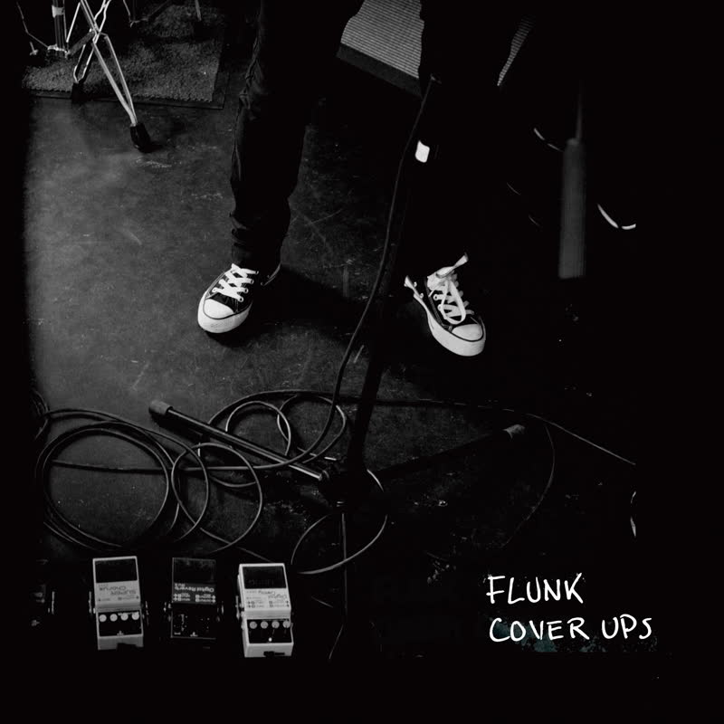 Flunk - Cover Ups, Vol 1 & 2
