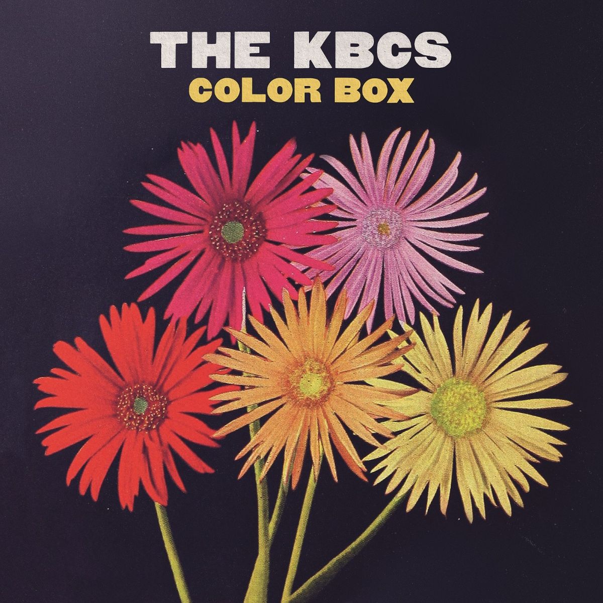 The KBCS - Color Box