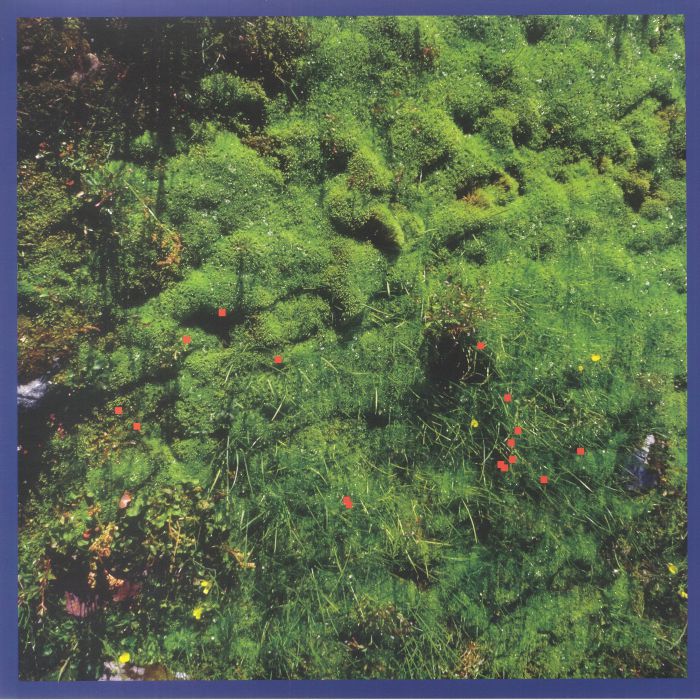 Matthias Puech - Mt. Hadamard National Park