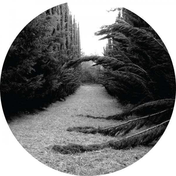 Ladan - Section