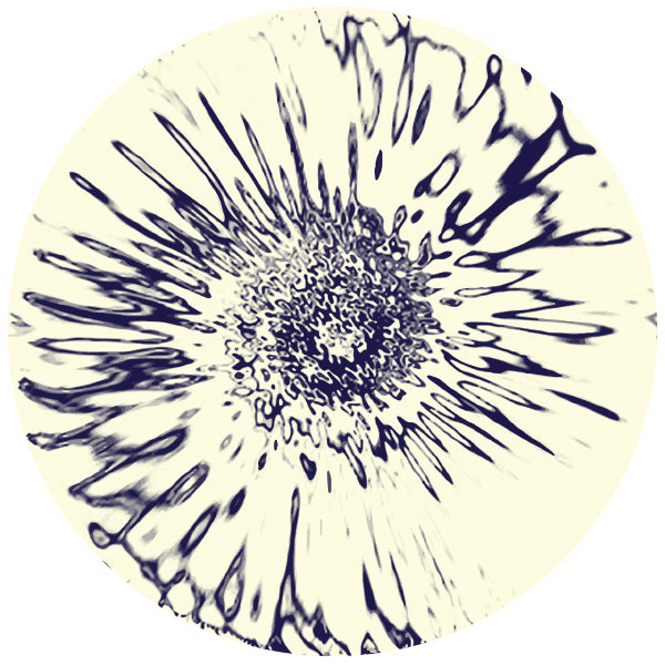 MY SYSTEM ECHO - SO NEAR TO MY REVIVAL EP (INC RON BASEJAM REMIX)