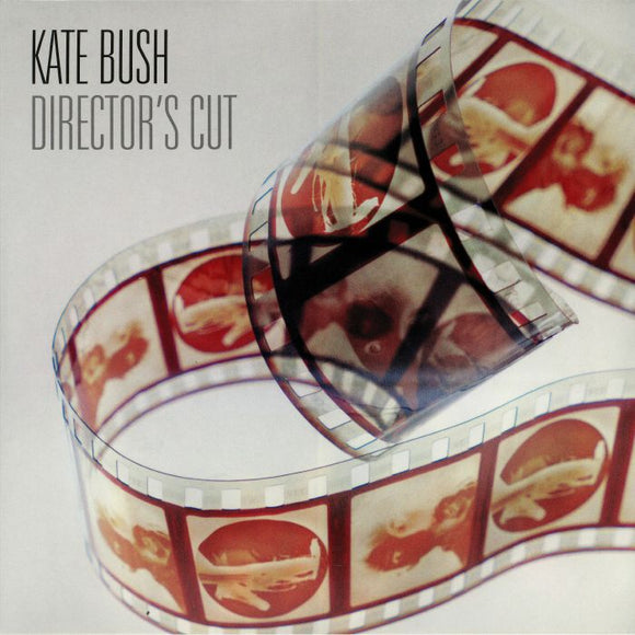 Kate Bush - Director's Cut (2LP/Gat)