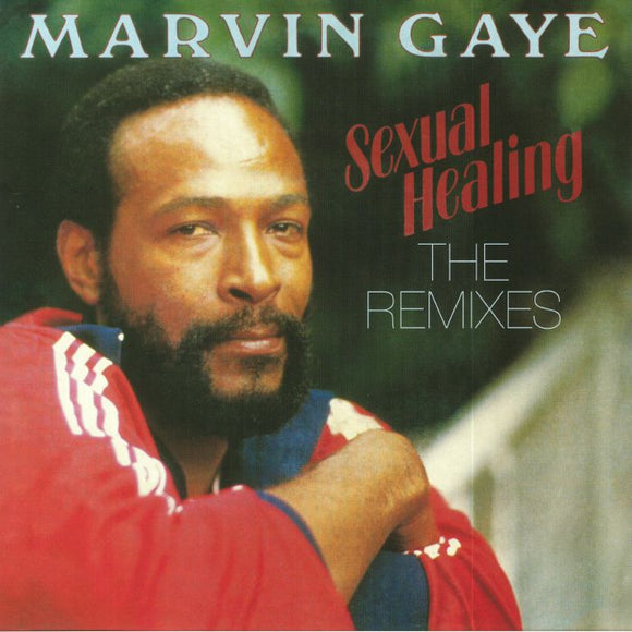 Marvin Gaye - Sexual Healing: The Remixes