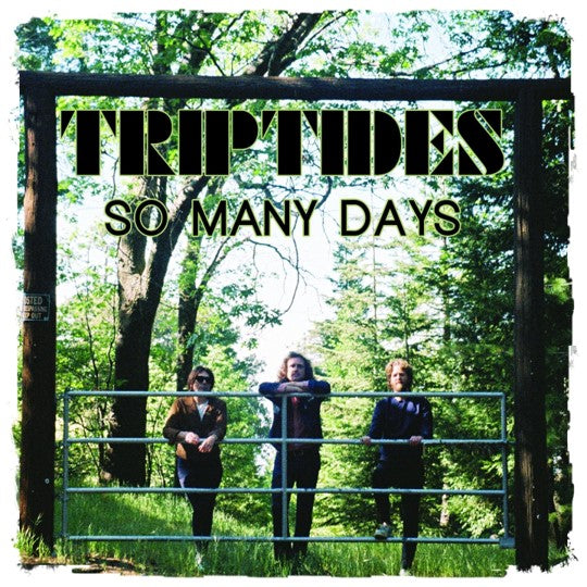 Triptides - So Many Days