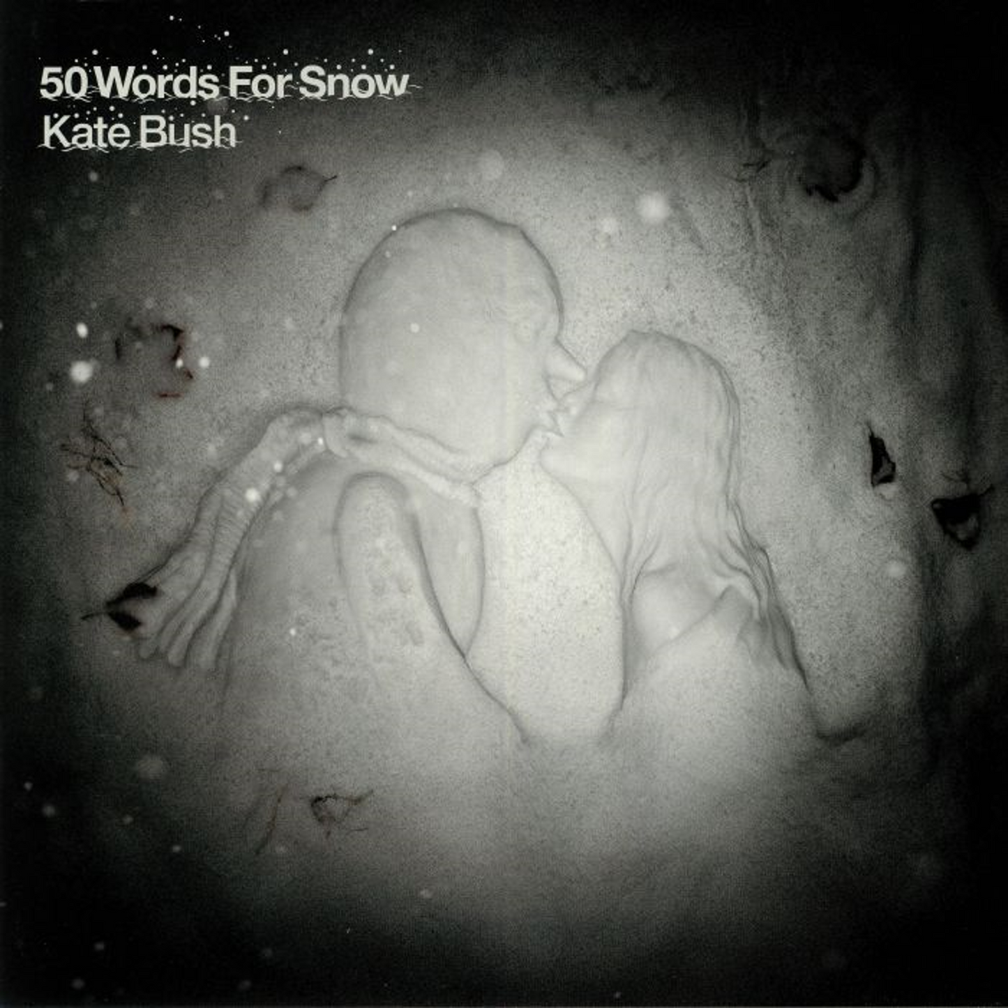 Kate Bush - 50 Words For Snow
