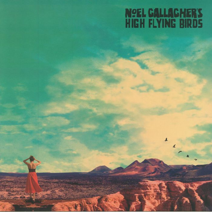 Noel Gallaghers High Flying - Who Built The (1LP/180g/gat)