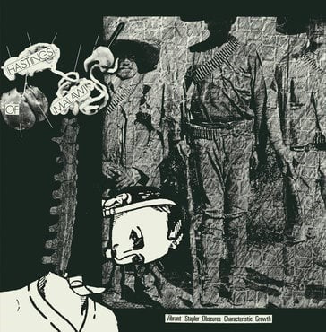 HASTINGS OF MALAWI - VIBRANT STAPLER OBSCURES CHARACTERISTIC GROWTH