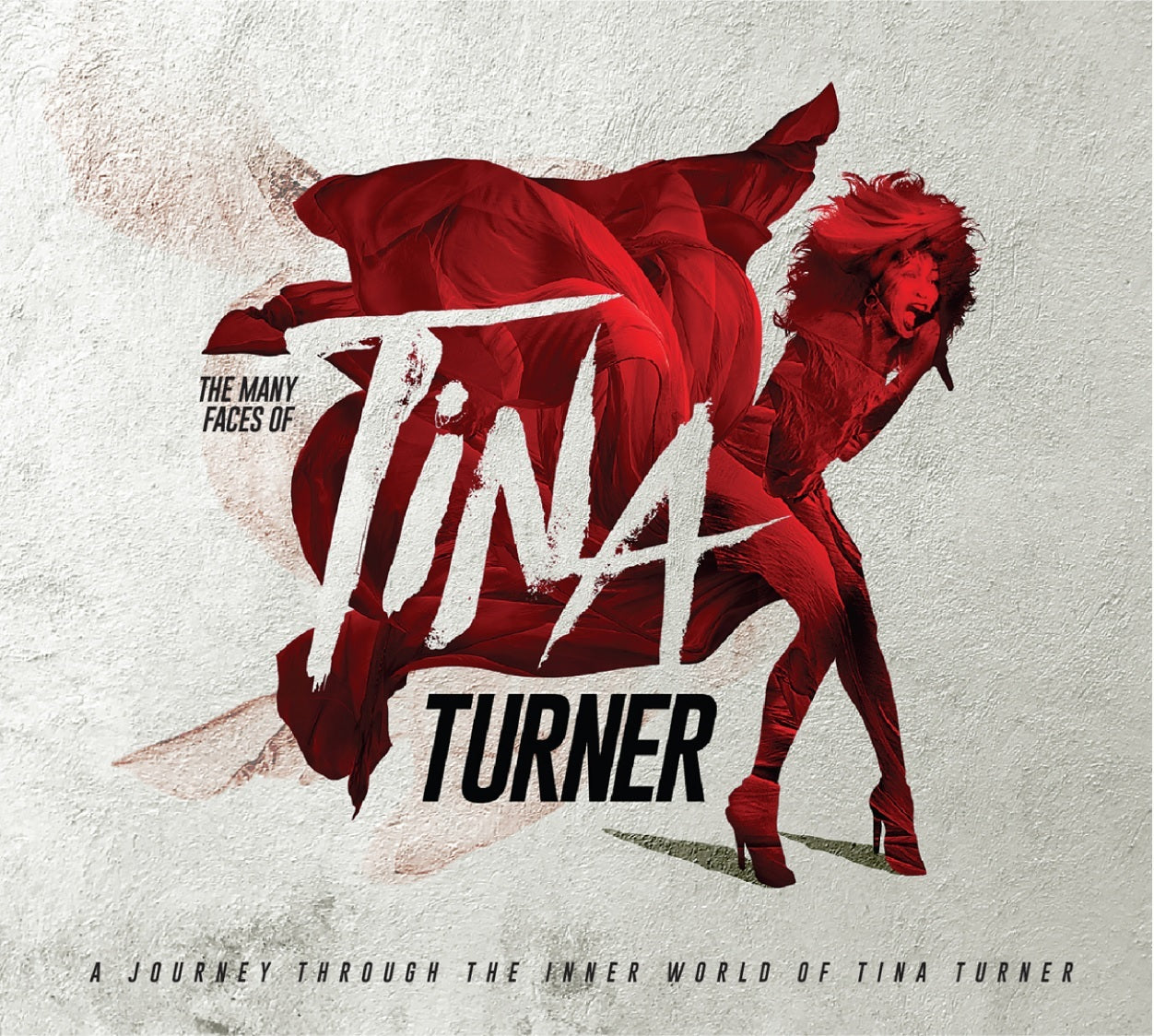 Various - Many Faces Of Tina Turner (2LP)