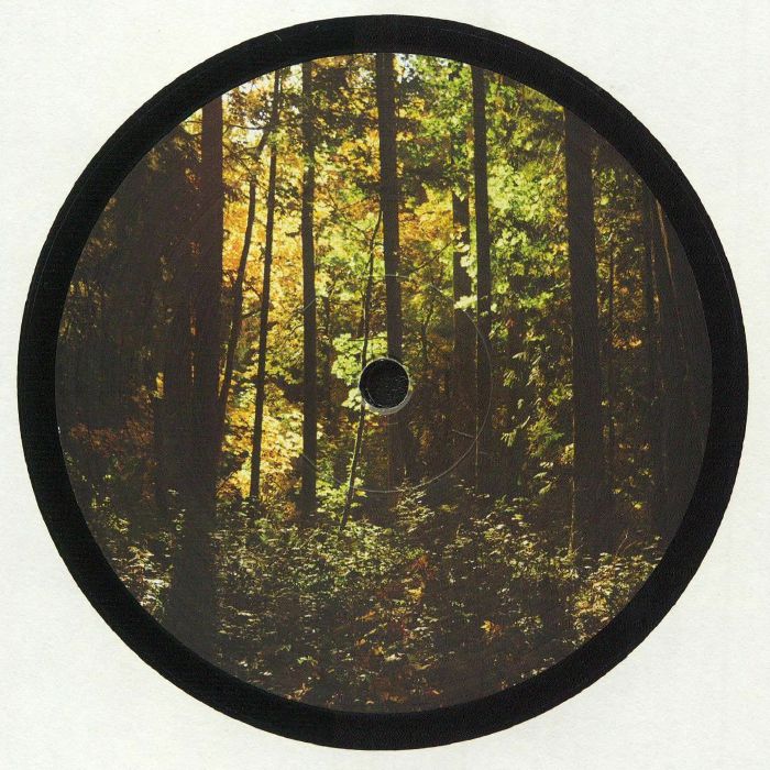 Jared Wilson - New Era