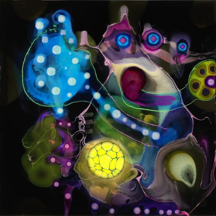 Alex SMALLEY - Vanaprastha