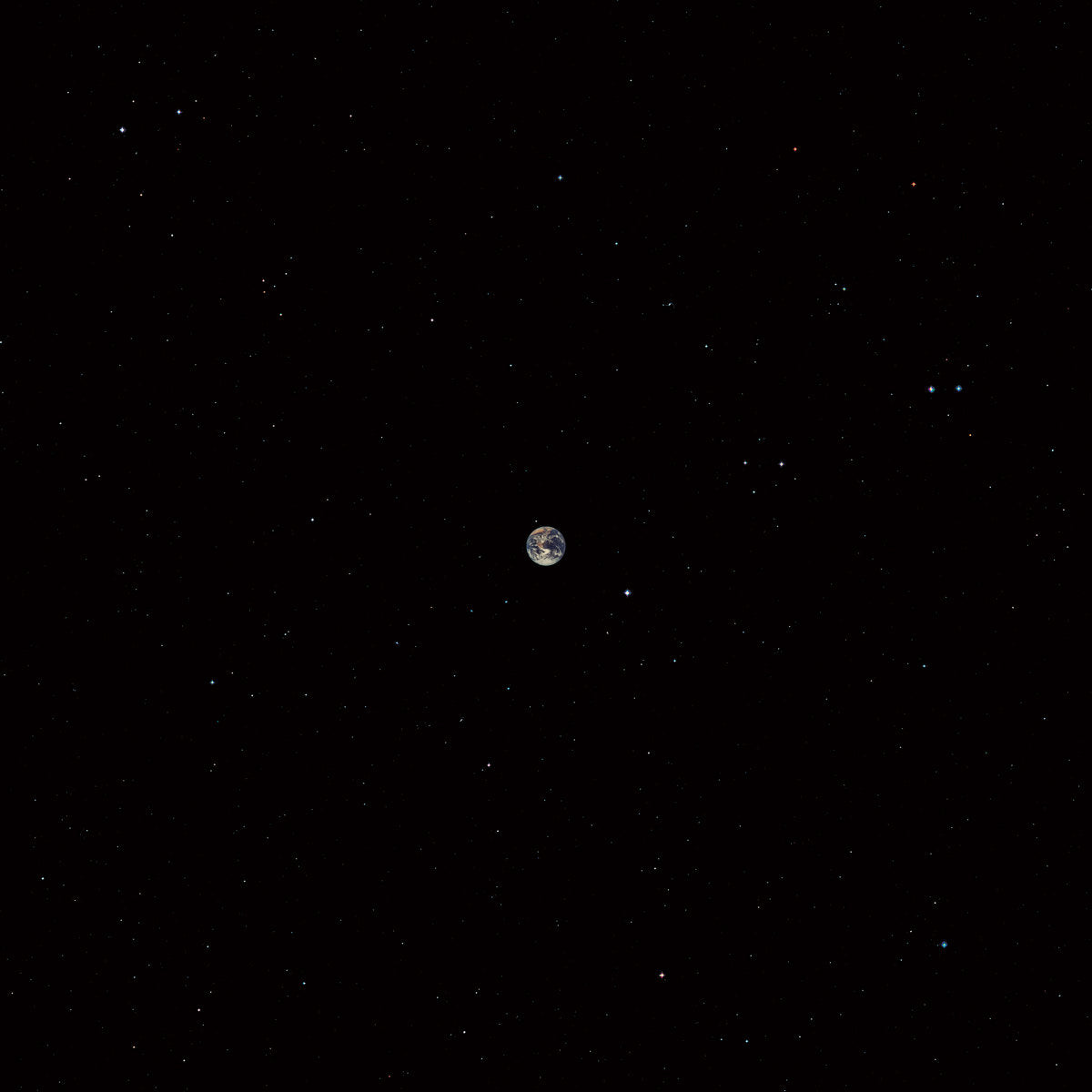 MARC RIBOTS CERAMIC DOG - HOPE (RSD 2021)