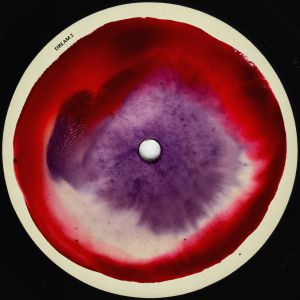 KENNEDY - DREAM 2