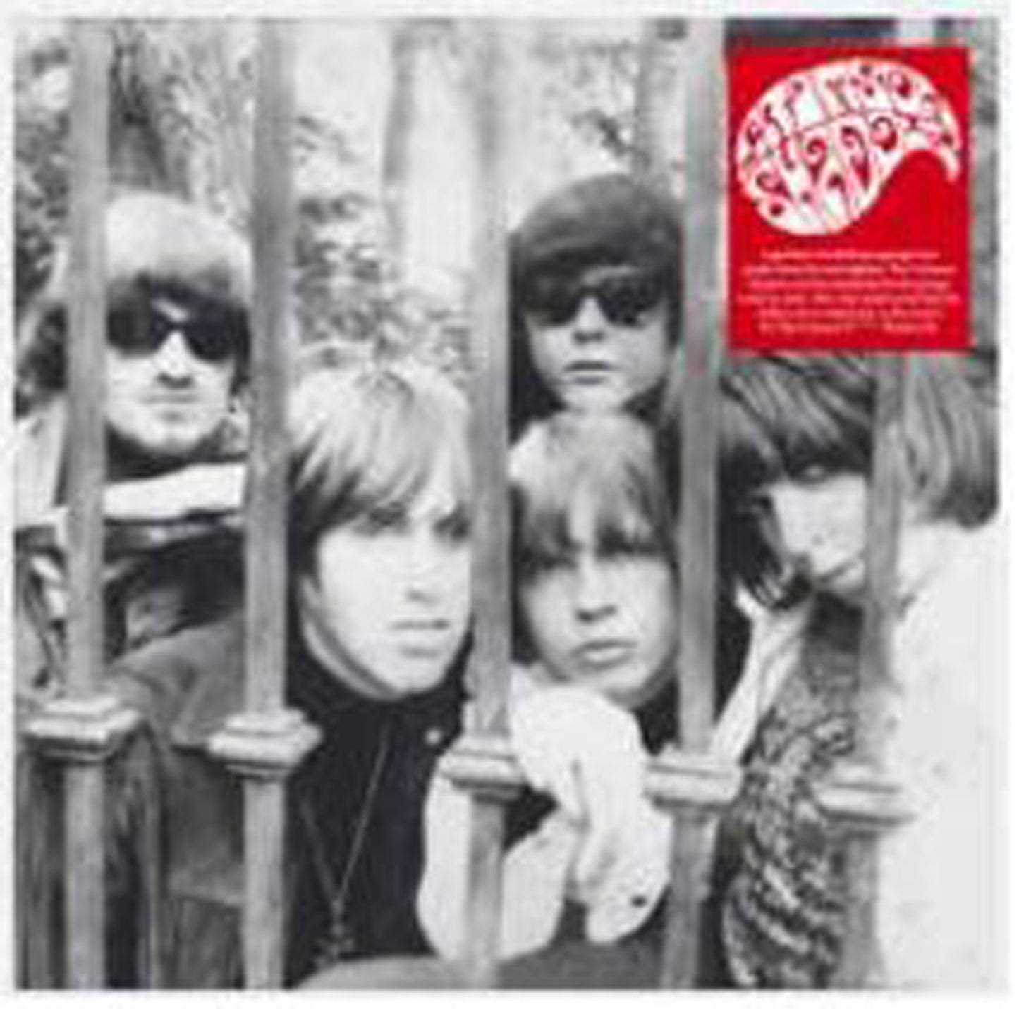 Crimson Shadows - It's The Crimson F****** Shadows!