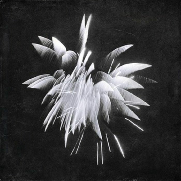 Brent Windler - New Morning Howl