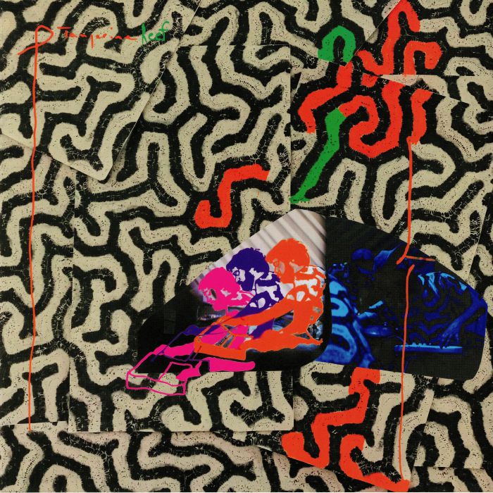 ANIMAL COLLECTIVE - TANGERINE REEF