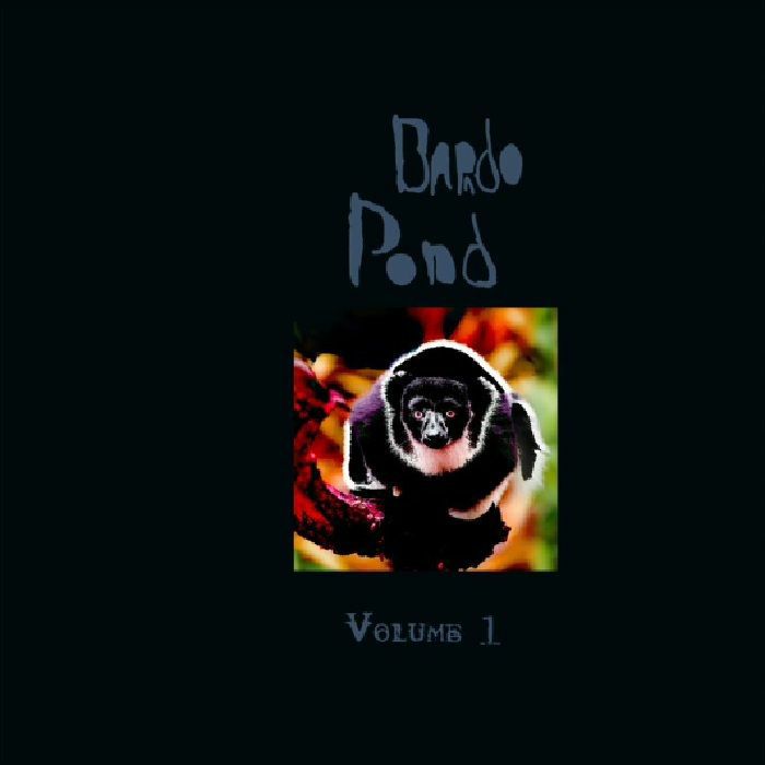 Bardo Pond - Volume 1 (Record Store Day 2021)