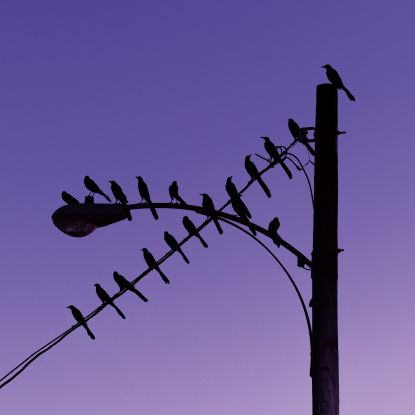 Jkriv & Peter Matson - Bigtime EP (Auntie Flo Remix) | 180 Gr., Limited Full Cover