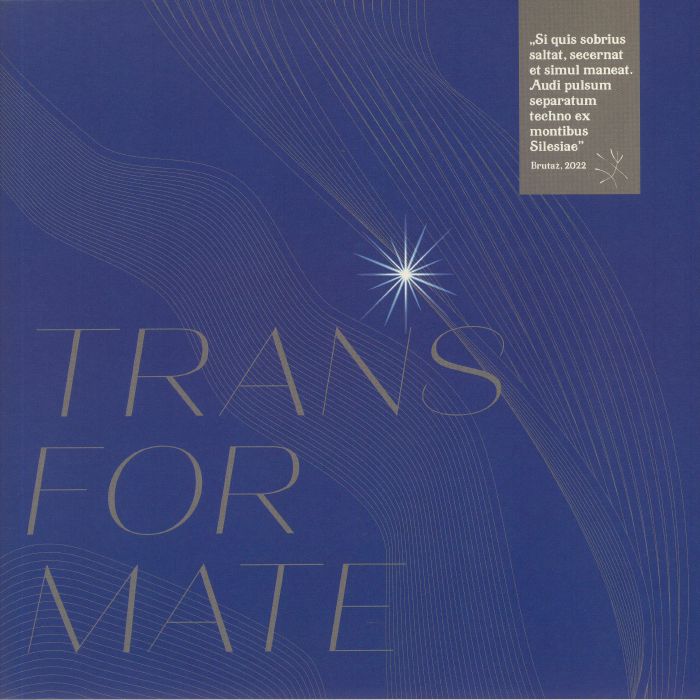 Mazewski - TRANS•FOR•MATE