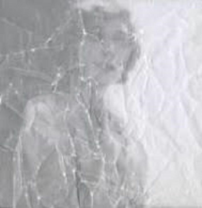 Little Skull – Untitled