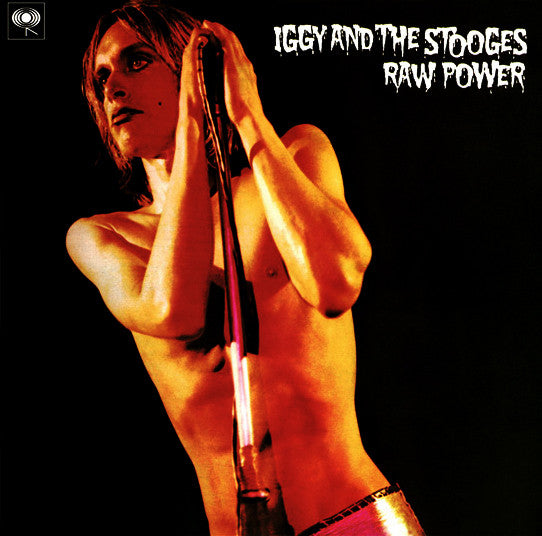 Iggy & The Stooges - Raw Power