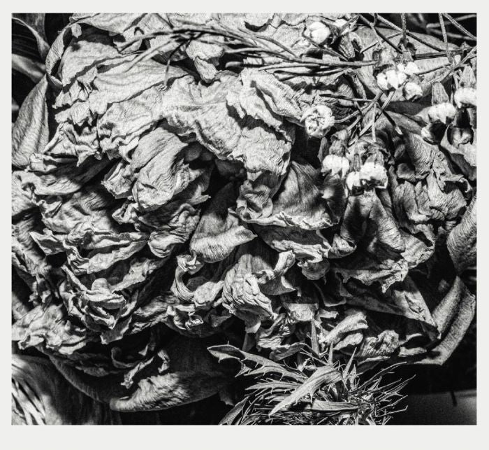 Fire! with Stephen O’Malley and David Sandström – Requires