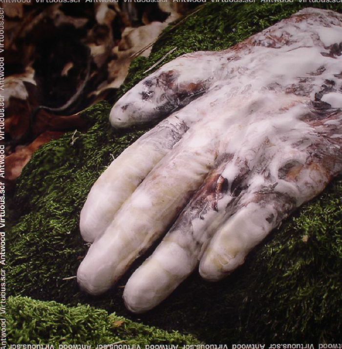ANTWOOD - VIRTUOUS.SCR