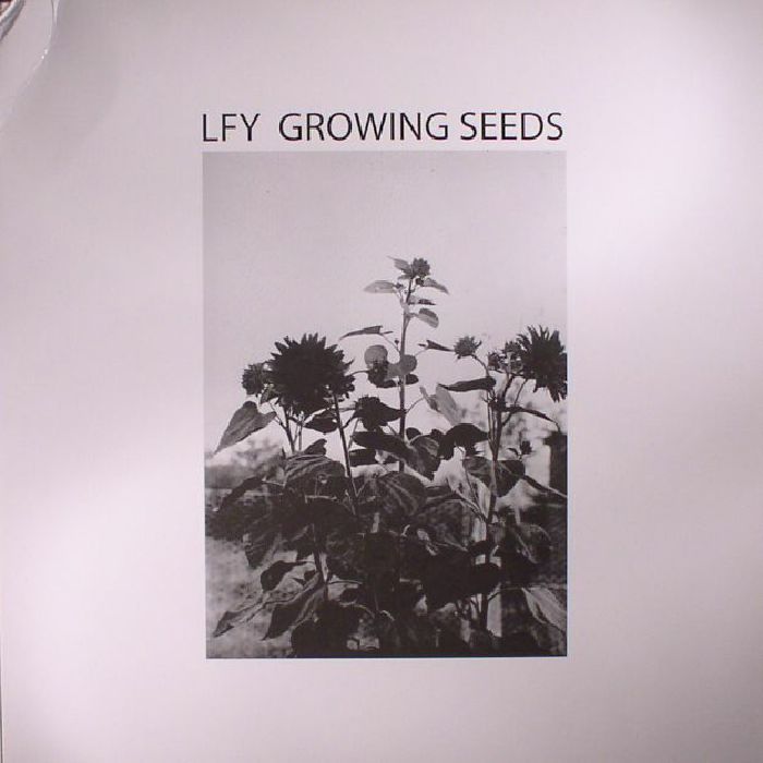 Lust For Youth – Growing Seeds