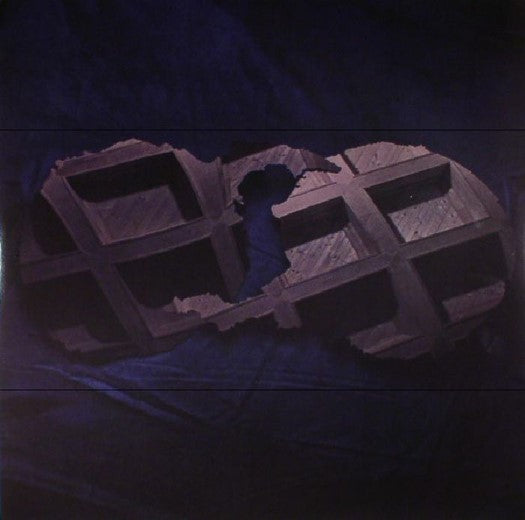 DIRTY PROJECTORS - DIRTY PROJECTORS