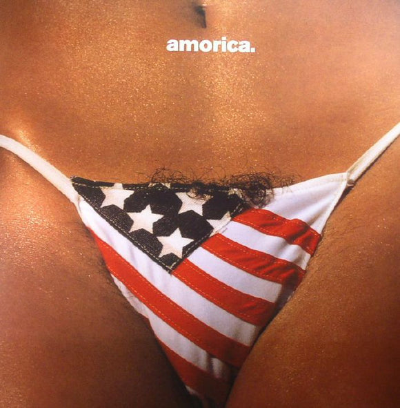 THE BLACK CROWES - AMORICA