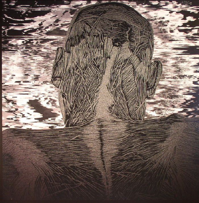 ASHER LEVITAS - LIT HARNESS