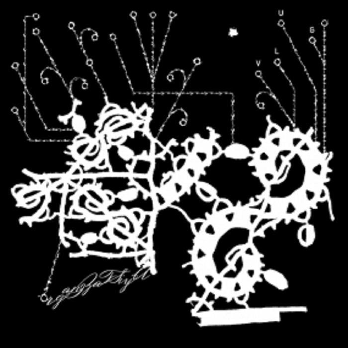 ORGANIZATSIYA - VLUG