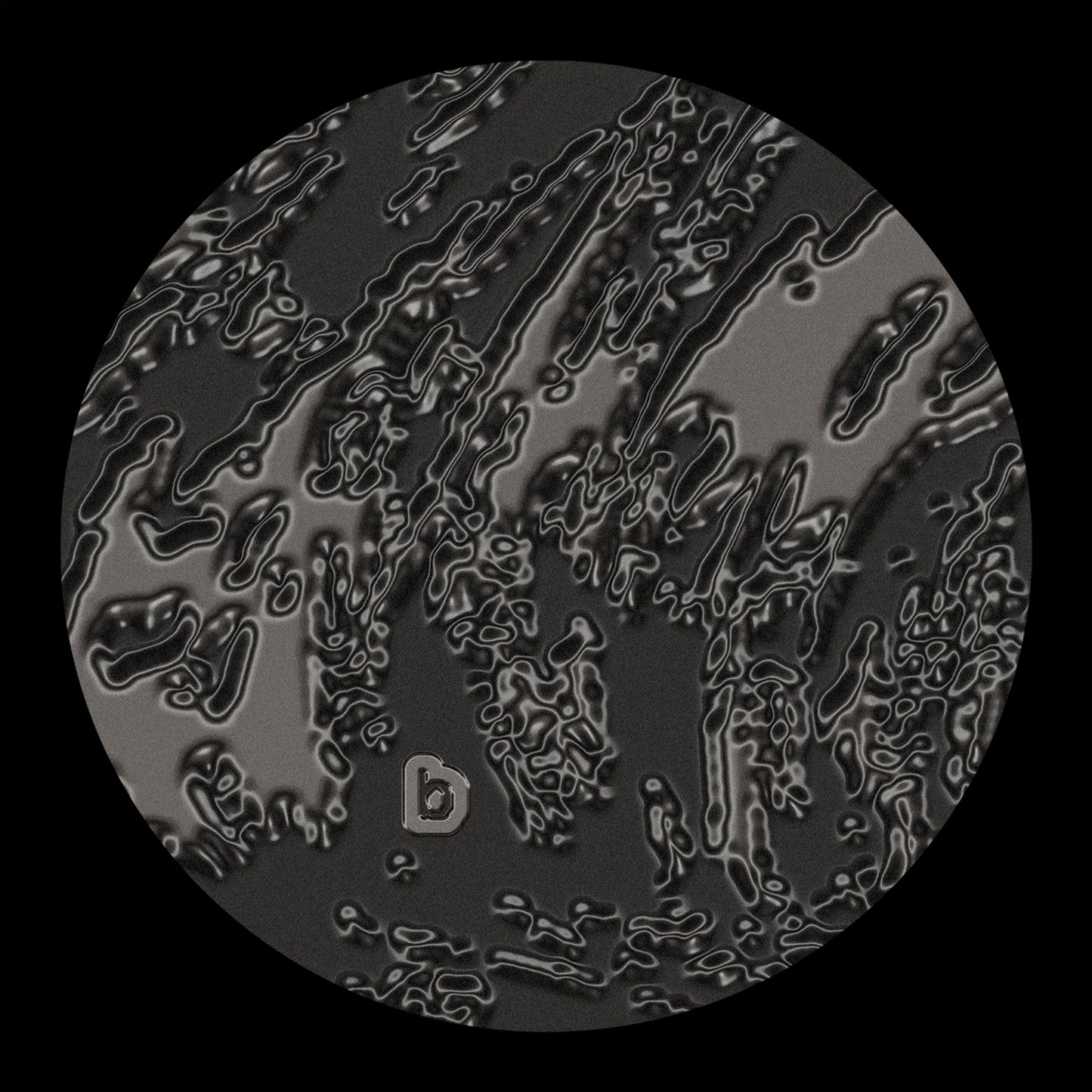 Xingu Hill - Strange Echoes 95 - 99