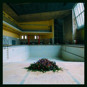 LYR - Call In The Crash Team