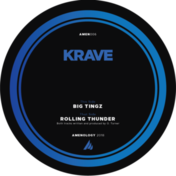 Big Tingz (Amenology vinyl)