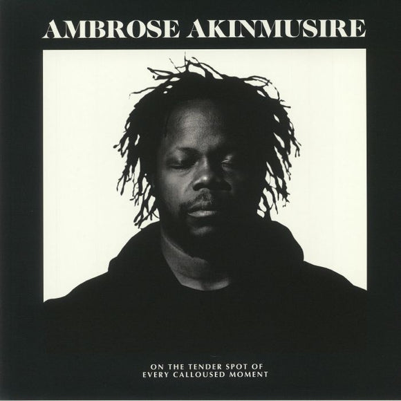 Ambrose Akinmusire - on the tender spot of every calloused moment