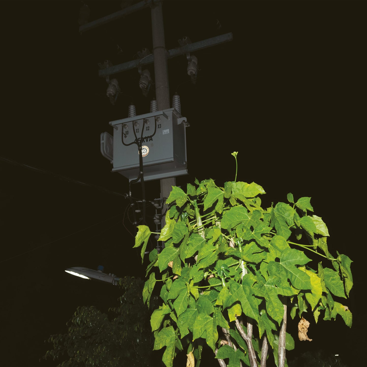 Giuseppe lelasi - Down On Darkened Meetings