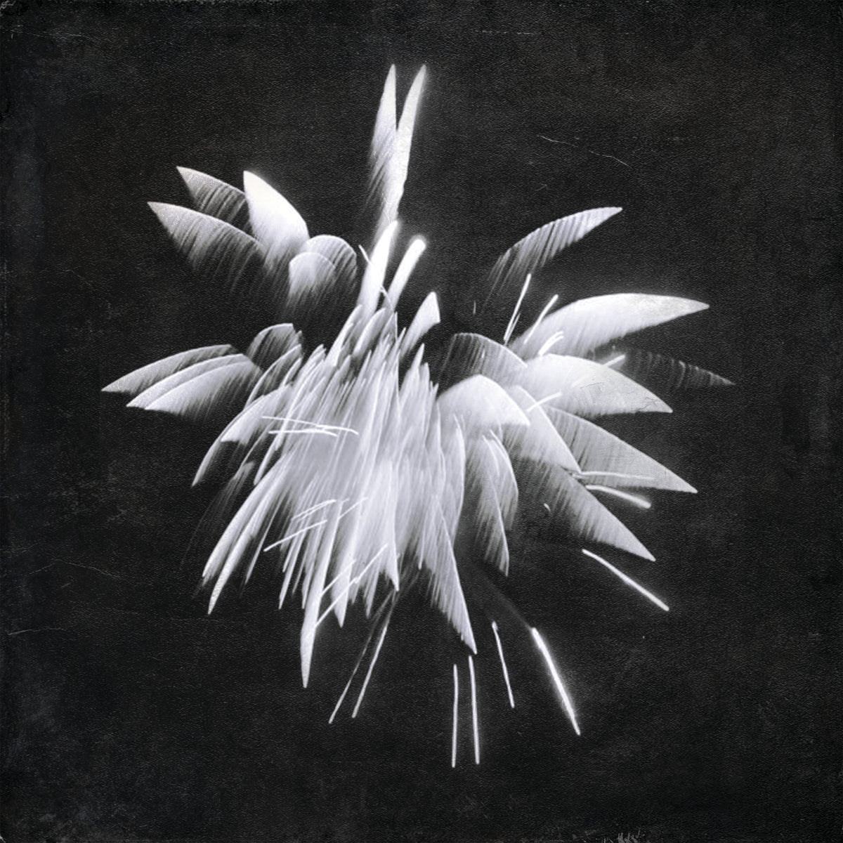 Brent Windler - New Morning Howl