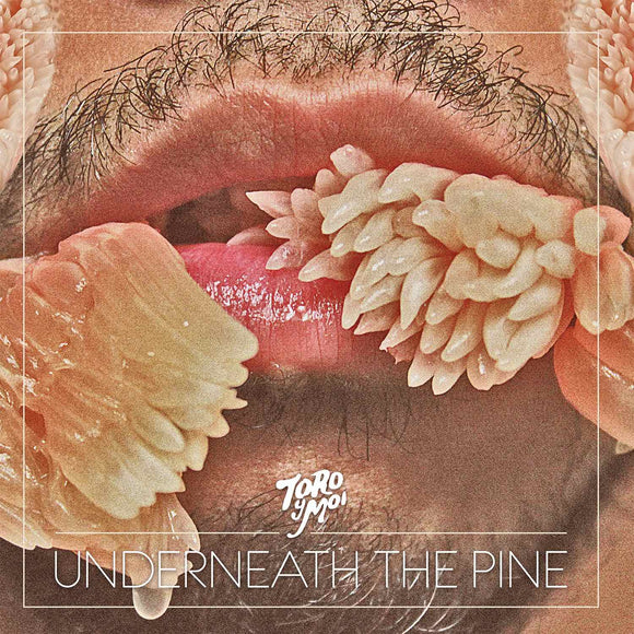Toro Y Moi - Underneath The Pine (10th Anniversary)