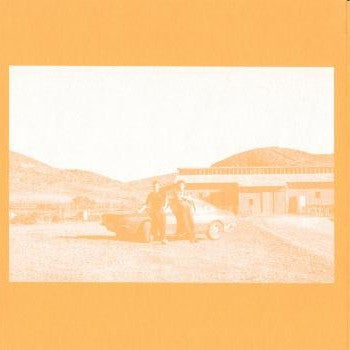 The Frenzied Bricks - The Frenzied Bricks