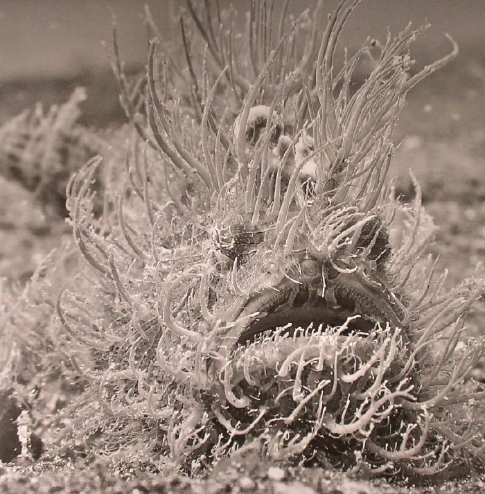 KASTIL / I REAL - Voodoo