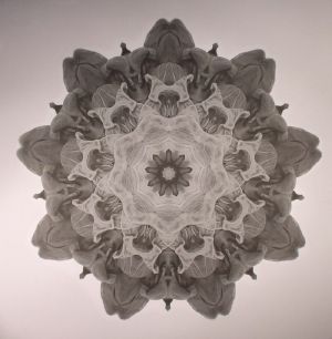 MOI - 05 (MOi Holland)