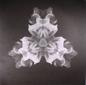 MOI - 06 (MOi Holland)