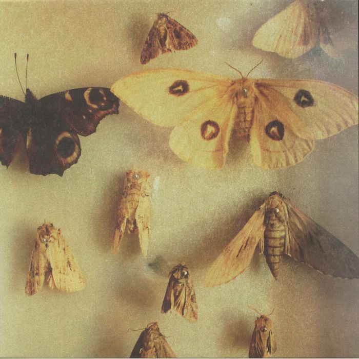 PROGRESSION - Paralipsis EP