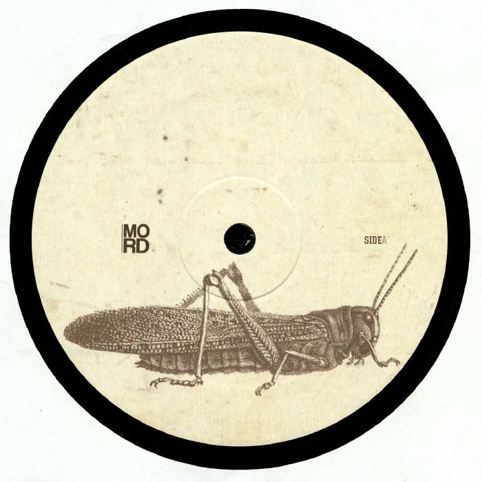 GOTSHELL - First Tomorrow EP