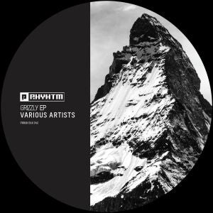 Yan COOK/PHARA/TEMUNDO/A PAUL/TAKAAKI ITOL - Grizzly EP