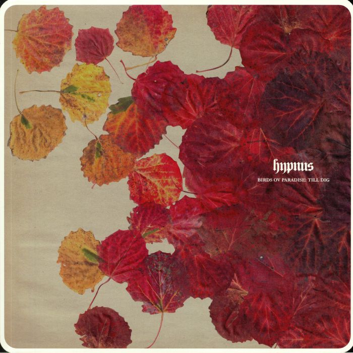 BIRDS OV PARADISE - Till Dig