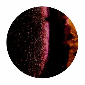 VERSA - Transcending Space & Dub